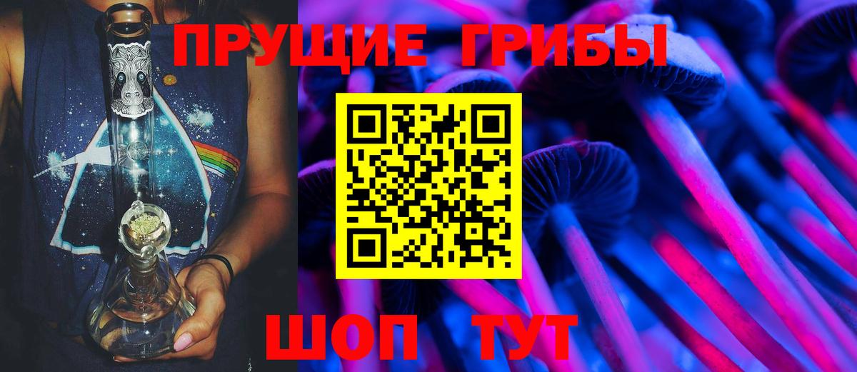 Псилоцибиновые грибы Magic Shrooms  Вход с VPN  Курганинск  Псилоцибиновые грибы MAGIC MUSHROOMS 